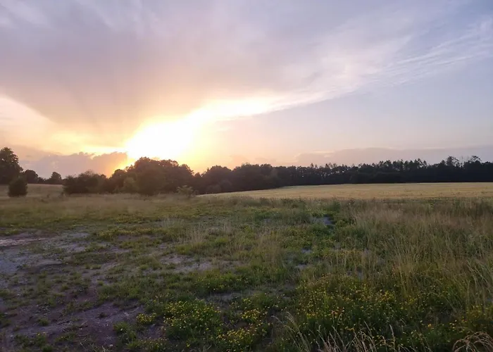 Cilka 1 By Interhome *